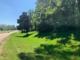 More details for F-3 Highway 61, Natchez, MS - Land for Sale