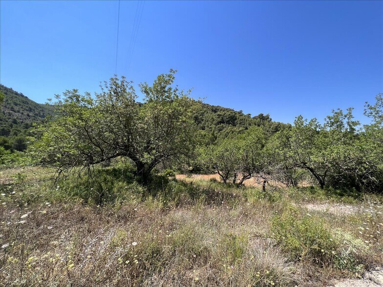 Land in Borriol for sale - Building Photo - Image 2 of 12
