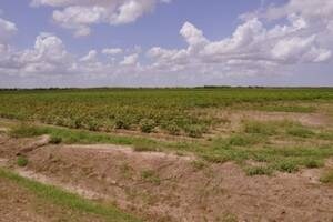 1223 Finney-Vallet Rd, Rosenberg, TX for sale Primary Photo- Image 1 of 1