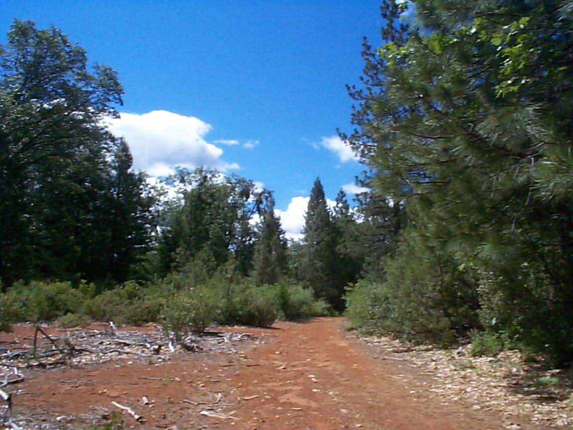 View Photo