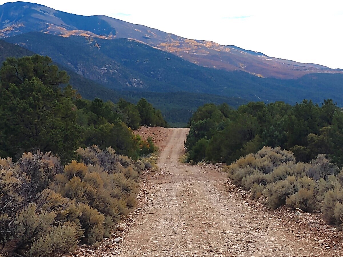 Upper Pinabete, Questa, NM 87556