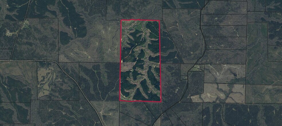 Talbot County Tract 32006A, Talbotton, GA for sale - Aerial - Image 1 of 2