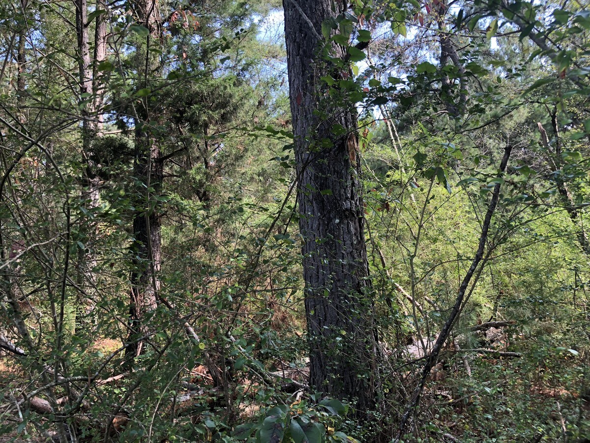 Fish Creek Rd, Cedartown, GA 30125