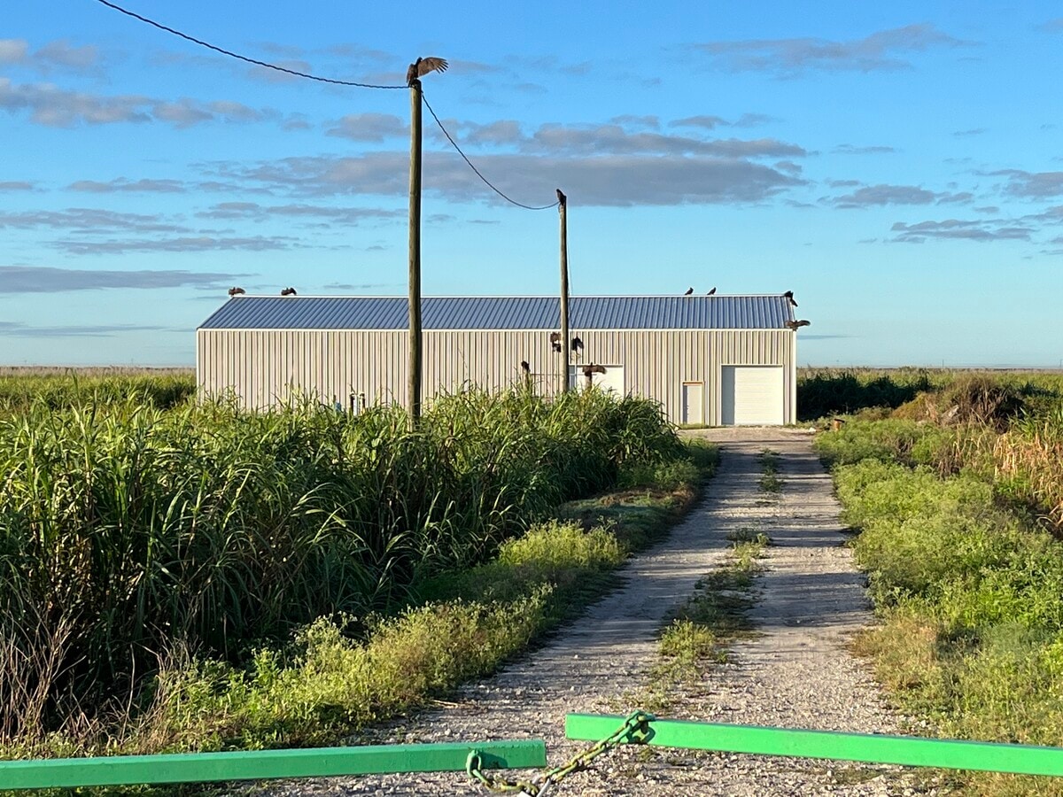 9165 Brown's Farm Rd, Belle Glade, FL 33430 Land for Sale