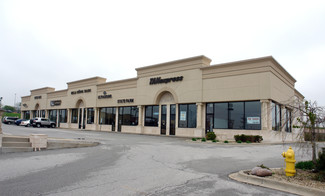 More details for 9101-9121 W 159th St, Tinley Park, IL - Retail for Lease