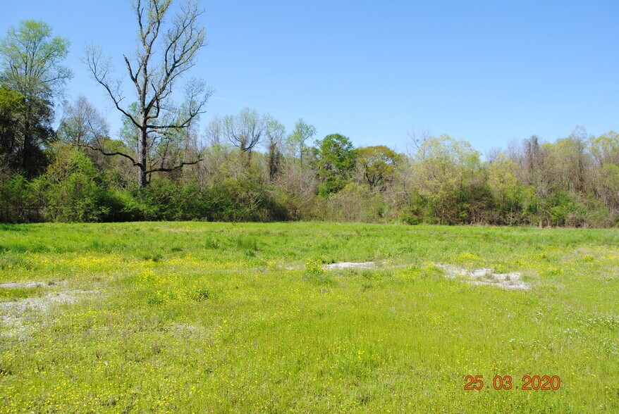 0 Highway 31, Verbena, AL 36091