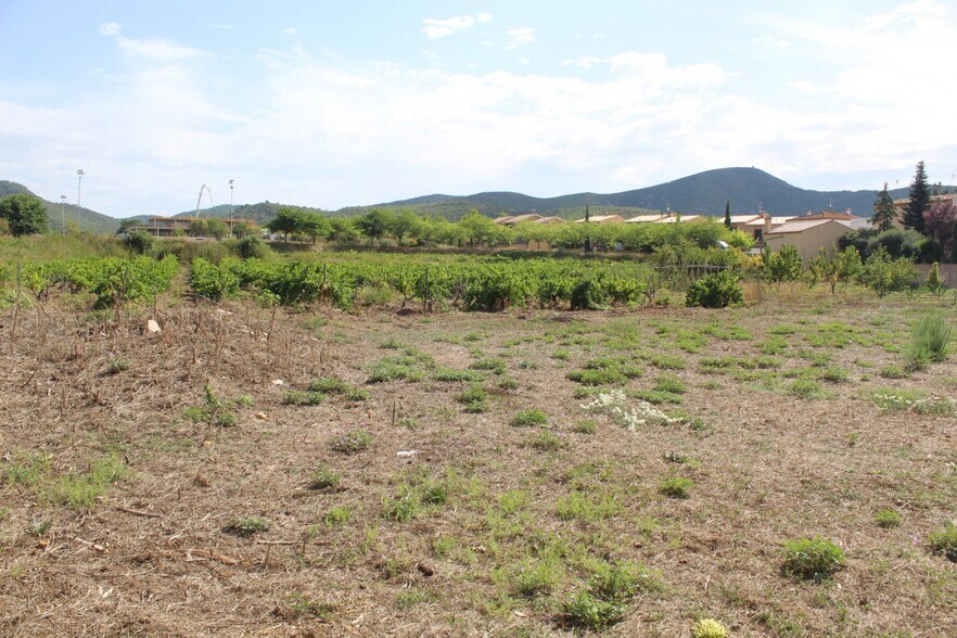 Land in Albinyana, Tarragona for sale - Building Photo - Image 3 of 3