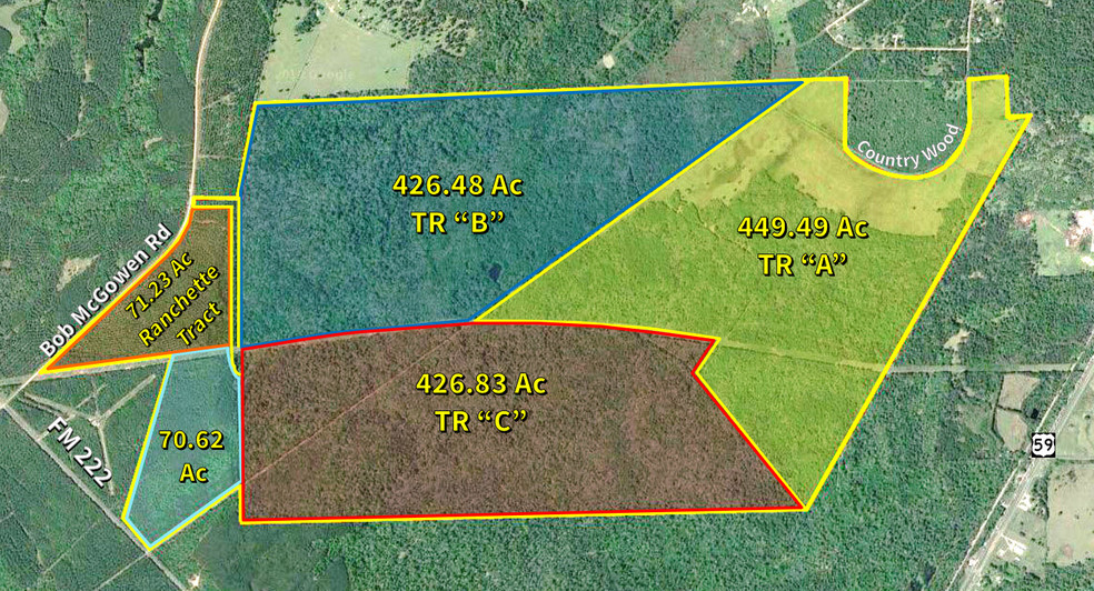 FM 222 & Bob McGowen Rd, Shepherd, TX for sale - Aerial - Image 1 of 1