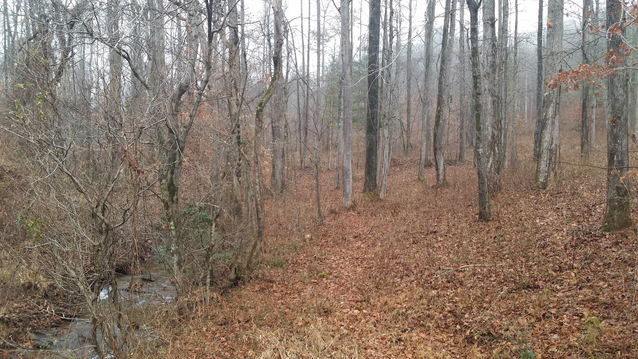 0 Burnt Mountain Rd, Jasper, GA for sale Building Photo- Image 1 of 1