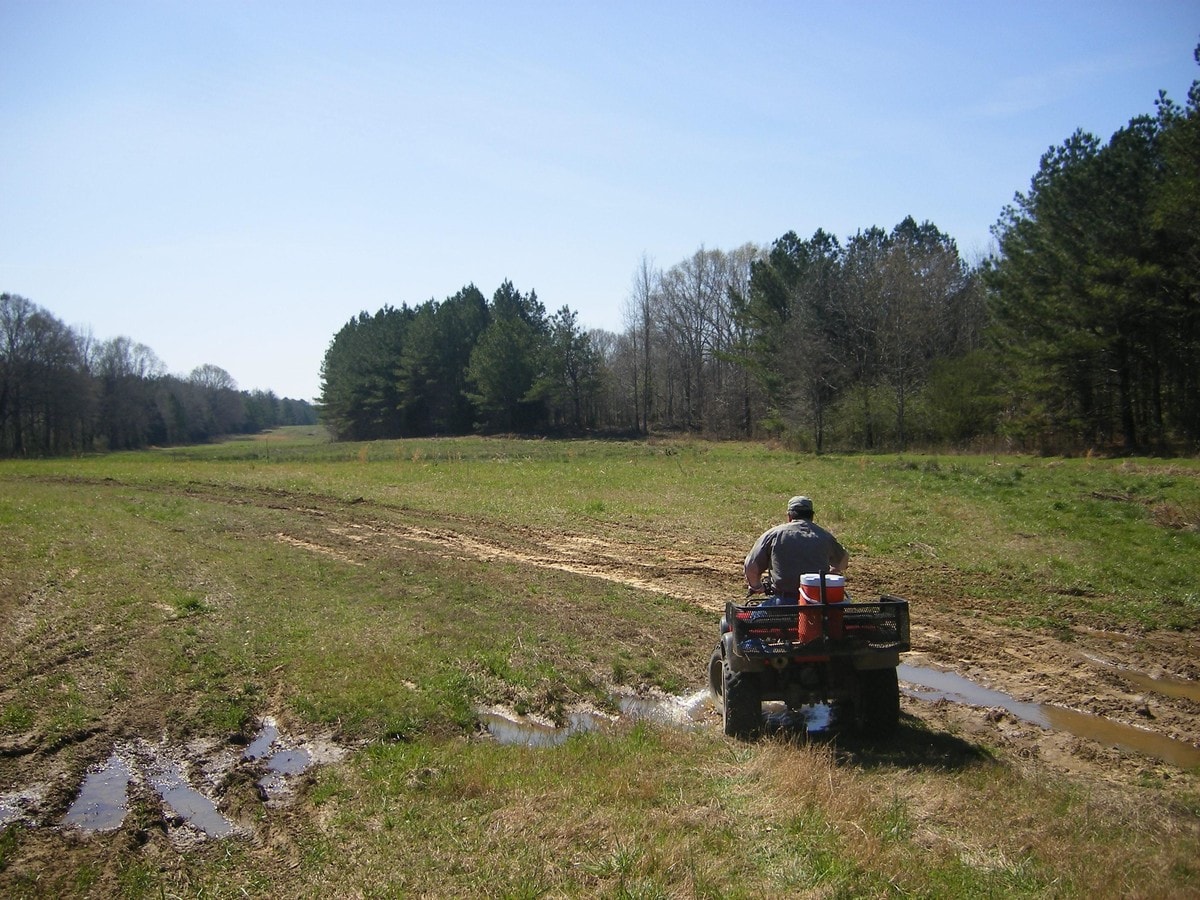 180 Acres In Winston County Ms, Noxapater, MS 39346 Land for Sale