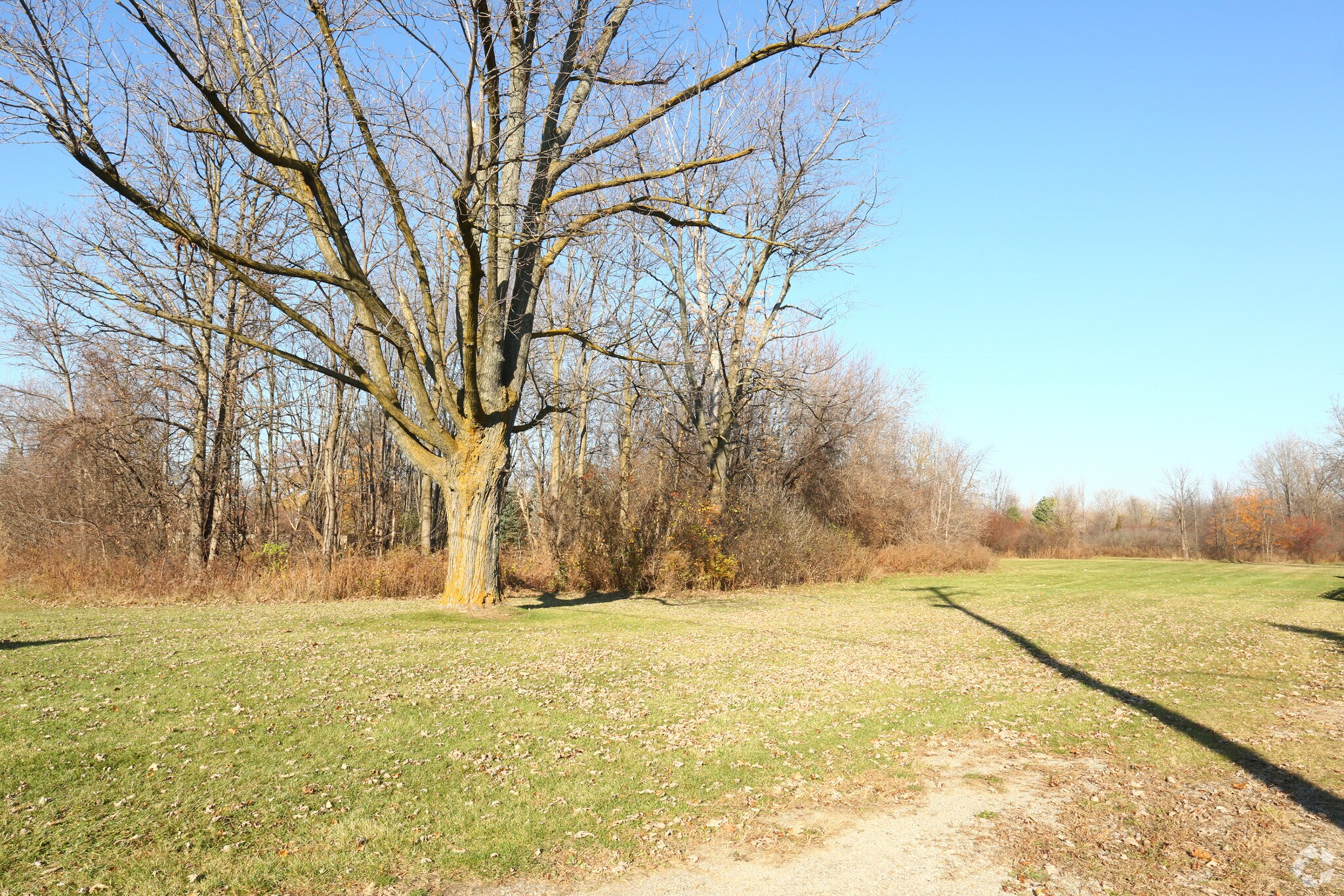 1448 W Hill Rd, Flint, MI for sale Primary Photo- Image 1 of 1