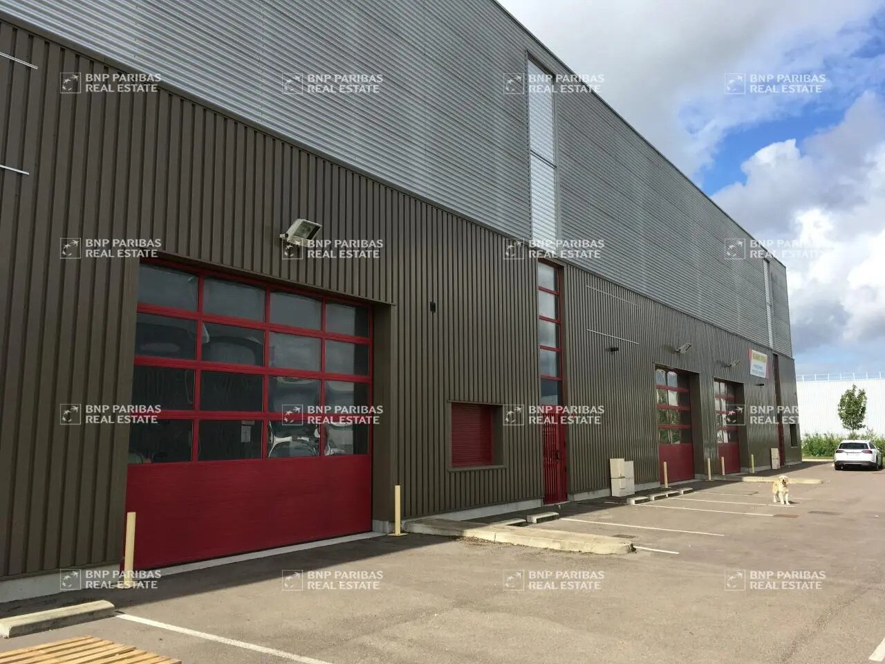 Flex in Levernois for lease Building Photo- Image 1 of 10