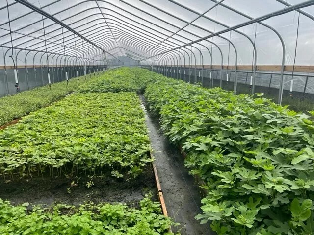 9555 Gast Rd, Bridgman, MI for sale Building Photo- Image 1 of 12