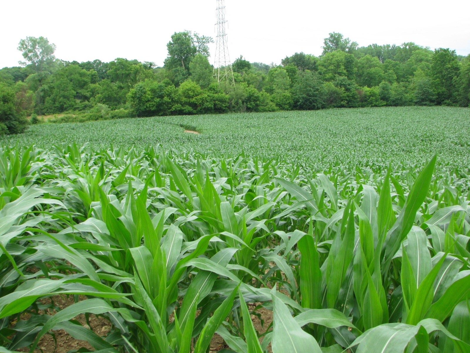 0 Linebaugh Rd, Xenia, OH for sale Primary Photo- Image 1 of 1