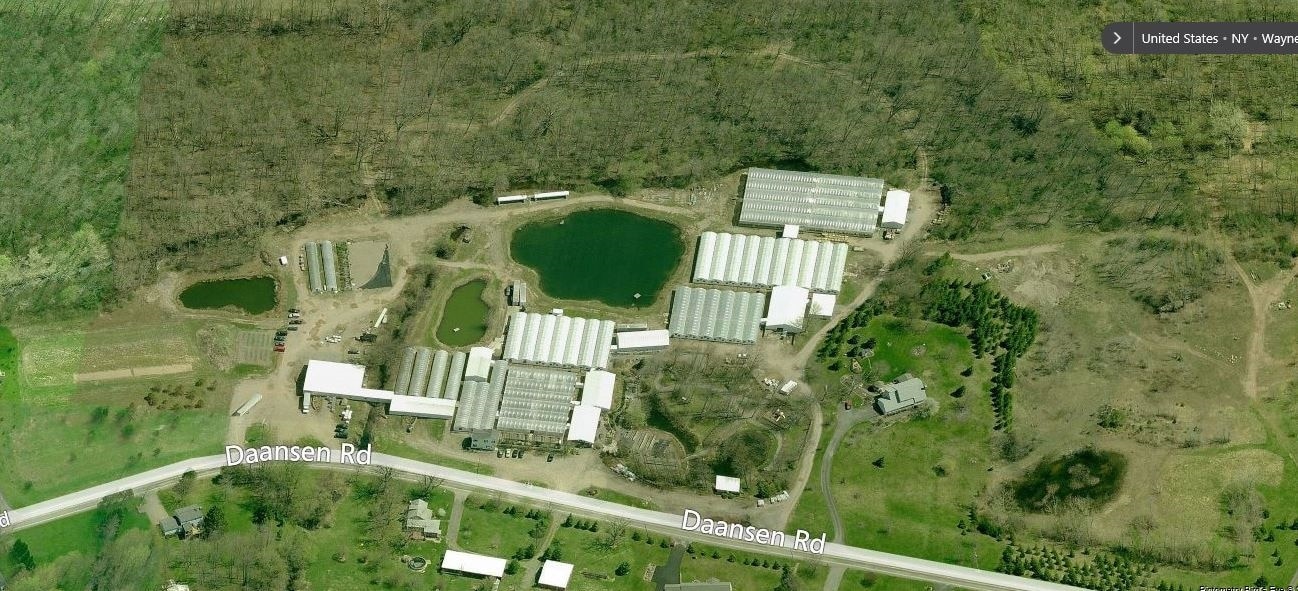 3242 Daansen Rd, Walworth, NY 14568