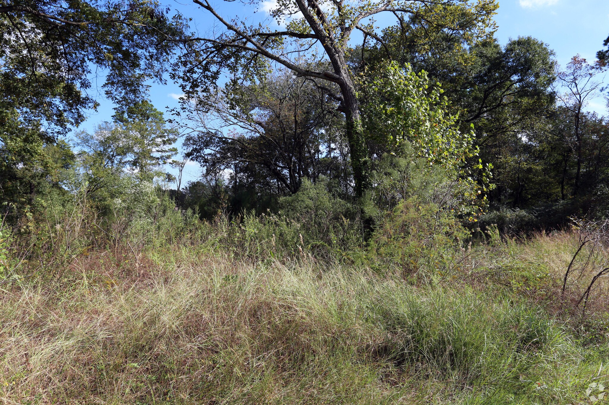 0 Carver Ave, Humble, TX for sale Primary Photo- Image 1 of 1