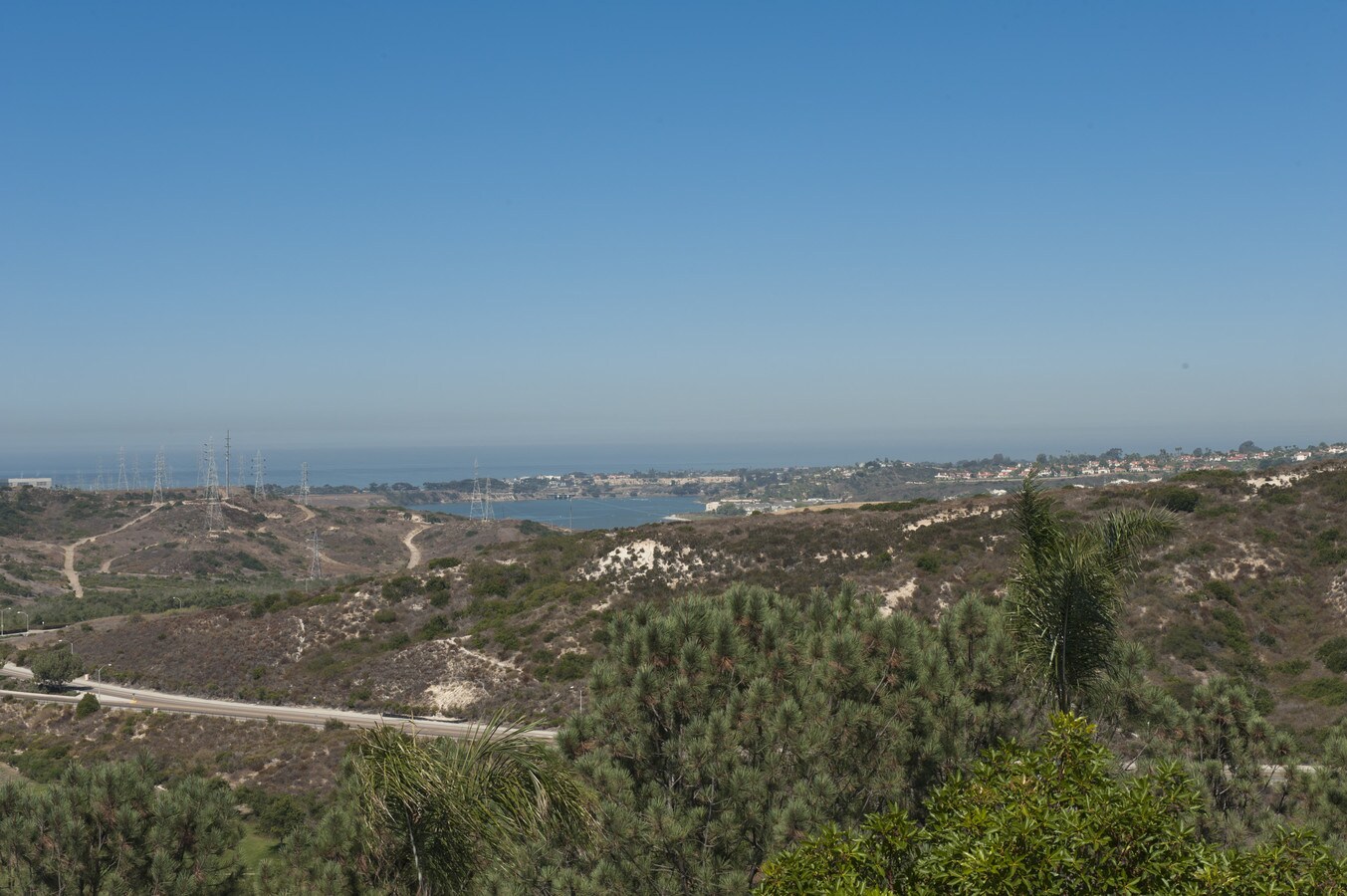 View Photo