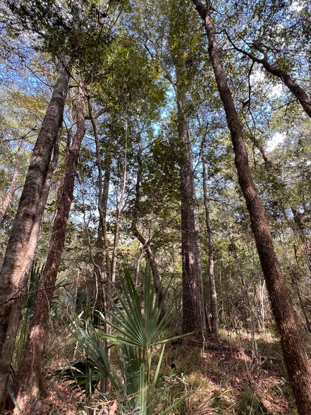 Kolander Road, Beaumont, TX for sale - Primary Photo - Image 1 of 1