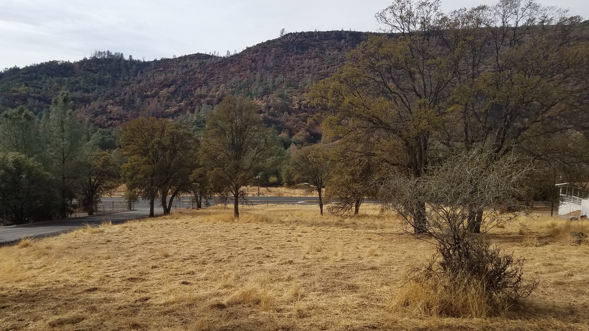 Highway 49 North Mariposa, Mariposa, CA 95338 Land for Sale