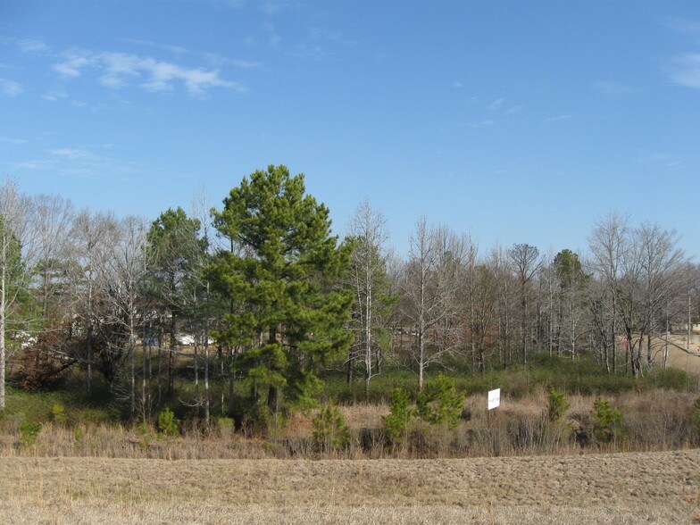 Hwy 25, Flowood, MS for sale - Primary Photo - Image 1 of 1