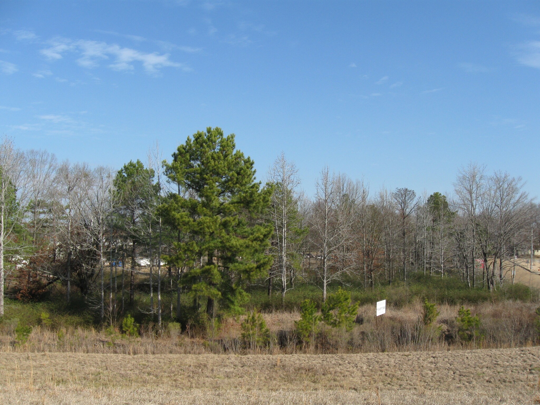 Hwy 25, Flowood, MS for sale Primary Photo- Image 1 of 1