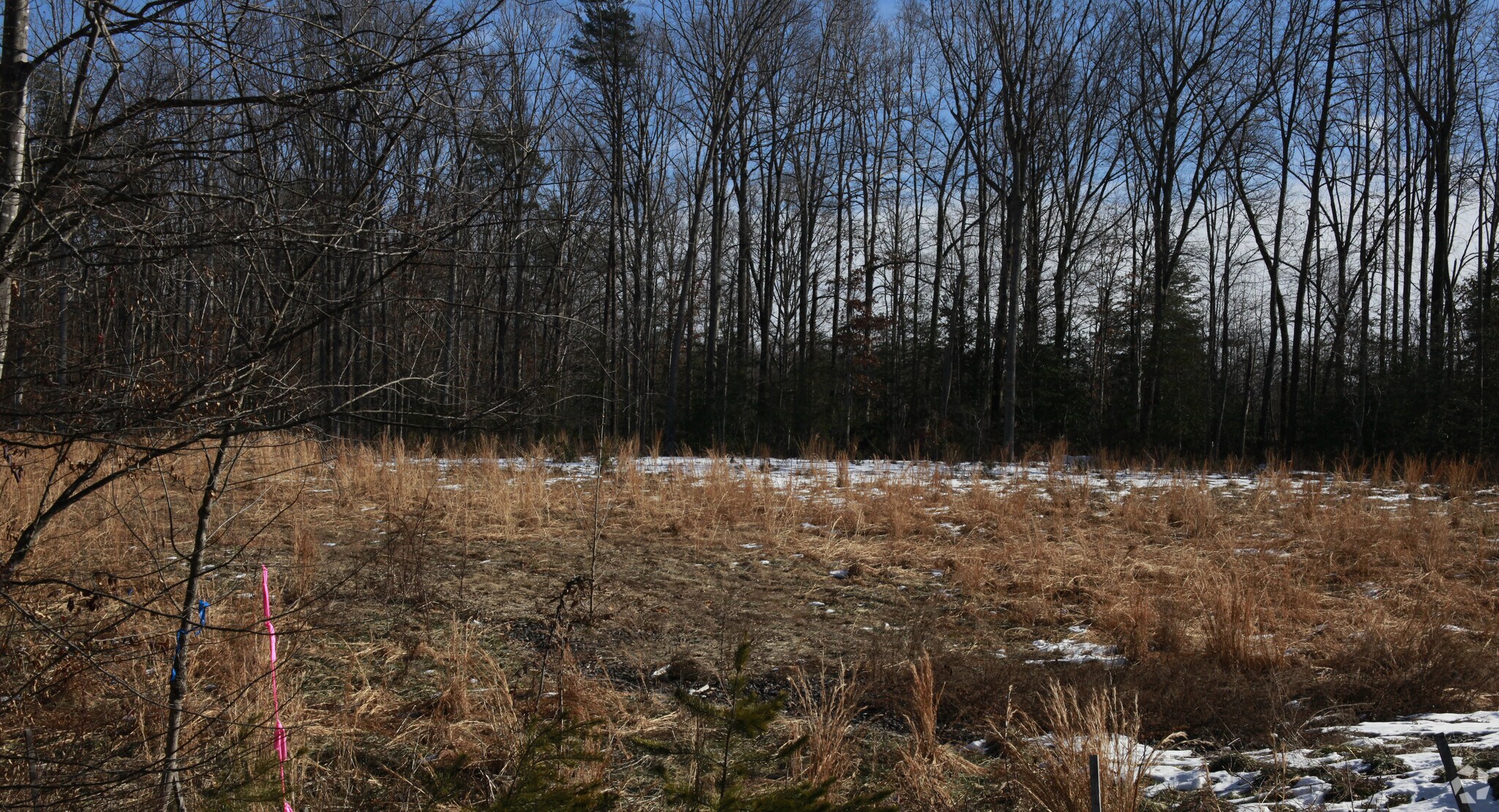 4000 Germanna Hwy, Locust Grove, VA for sale Primary Photo- Image 1 of 1