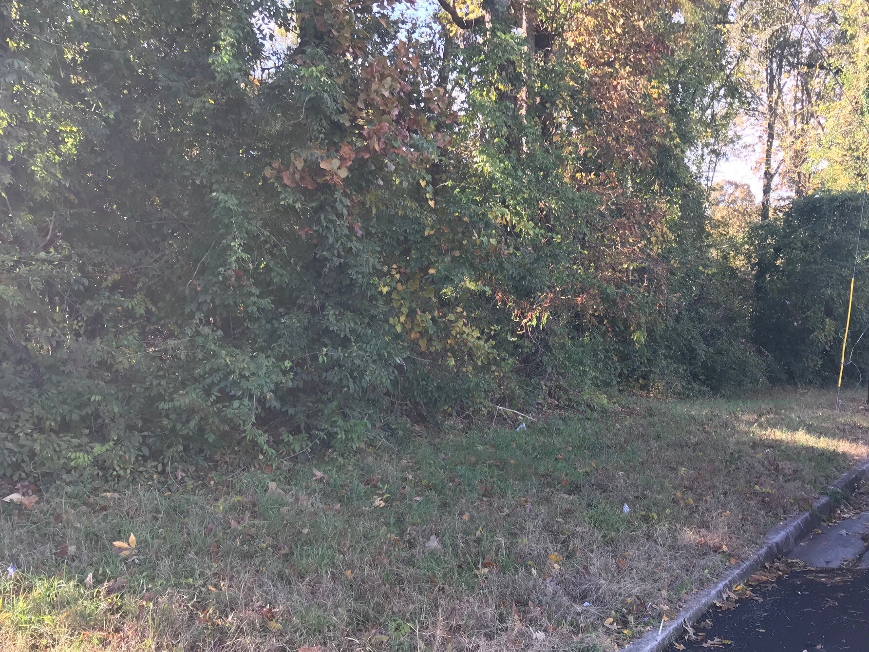 101 Springview Dr, Gainesville, GA for sale Other- Image 1 of 1