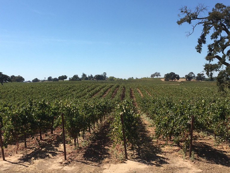 19301 Clements Road, Lodi, CA for sale - Building Photo - Image 1 of 1