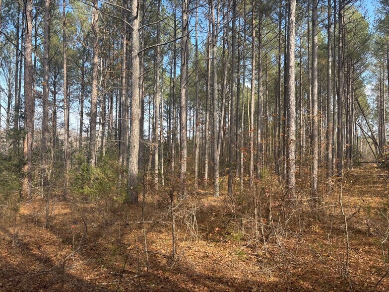 Oak Tree Dr, Honea Path, SC for sale - Building Photo - Image 3 of 8