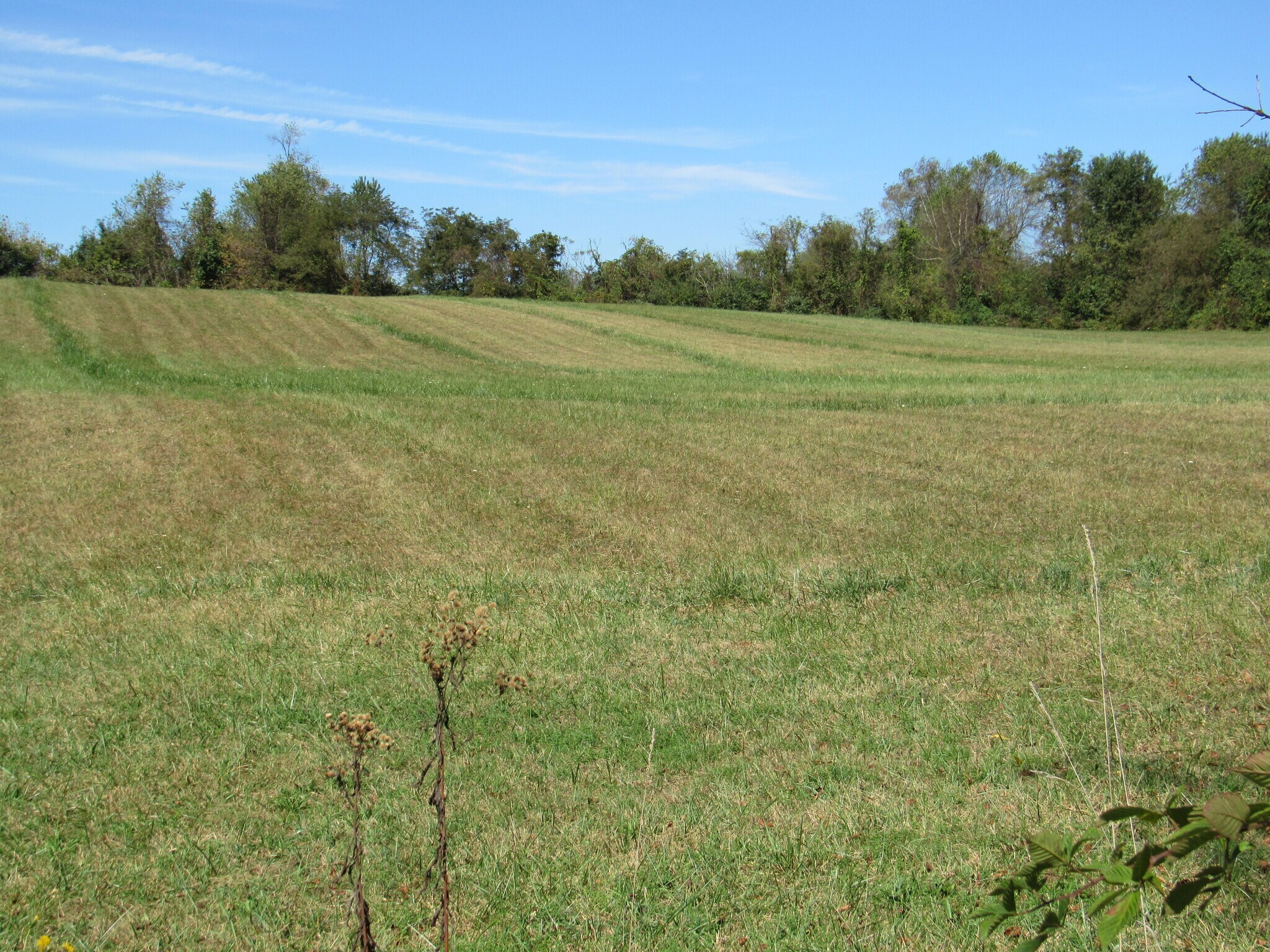 Glove Dr, Glade Spring, VA for sale Primary Photo- Image 1 of 1