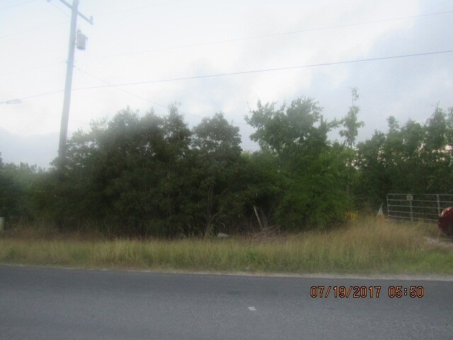 View Photo