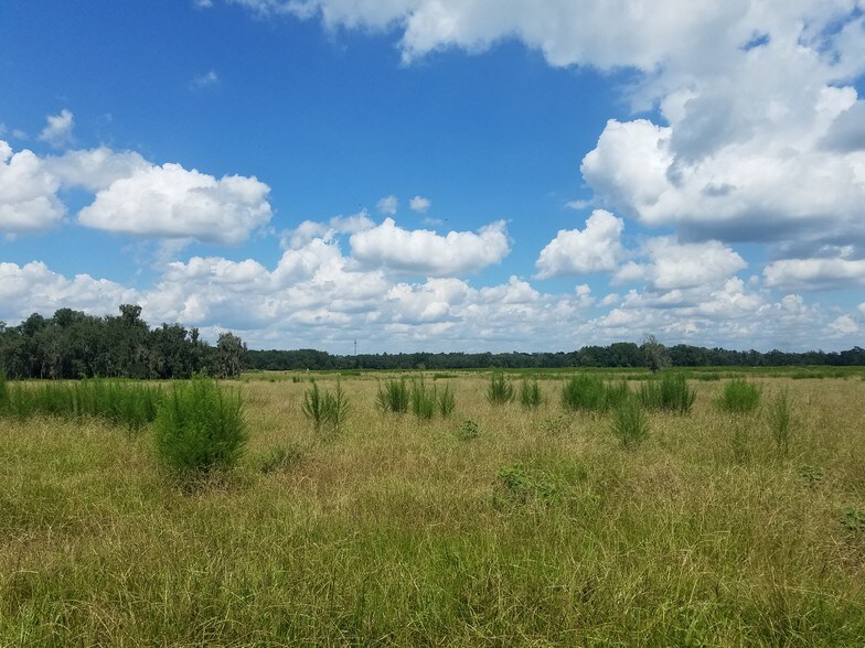 4402 Keysville Rd, Plant City, FL 33567