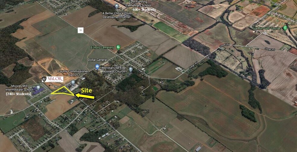 9501 Moores Mill Rd, New Market, AL 35761