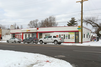 More details for 15100-15114 Plymouth Rd, Detroit, MI - Retail for Lease