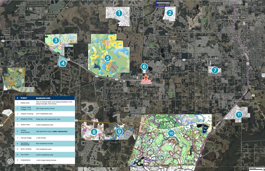 34635 Pure Water Wy (SR 54), Zephyrhills, FL for sale - Aerial - Image 2 of 3