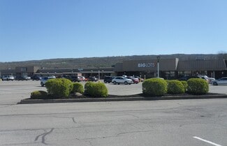 More details for 10-40 Village Plz, Dansville, NY - Retail, Flex for Lease