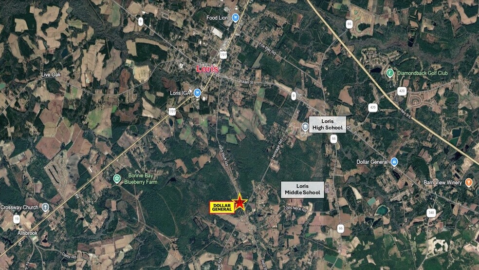 1376 Red Bluff Rd, Loris, SC for sale - Building Photo - Image 3 of 4