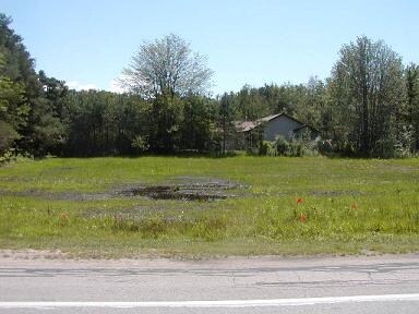 10471 Main St, Honor, MI for sale Primary Photo- Image 1 of 1