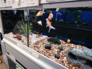 Vicarage Walk, Newport for lease Interior Photo- Image 1 of 5