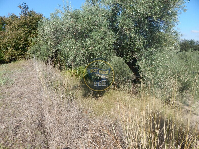 Land in Alquerías del Niño Perdido for sale - Building Photo - Image 3 of 22