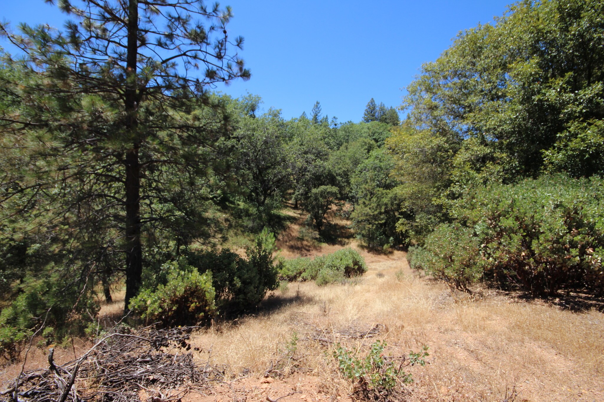 S Auburn St, Colfax, CA for sale Other- Image 1 of 1