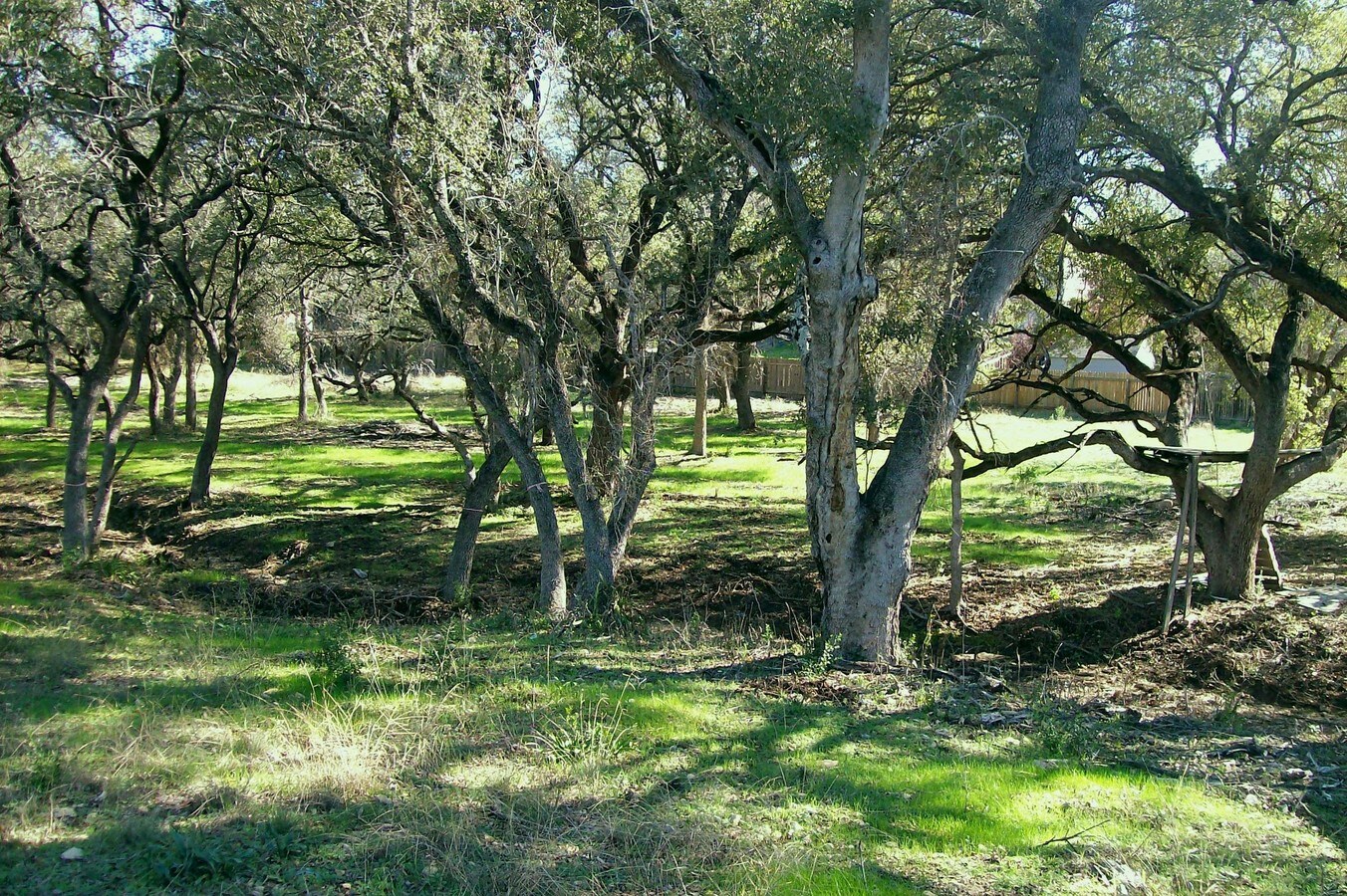 12231 Westcreek Oaks, San Antonio, TX 78253