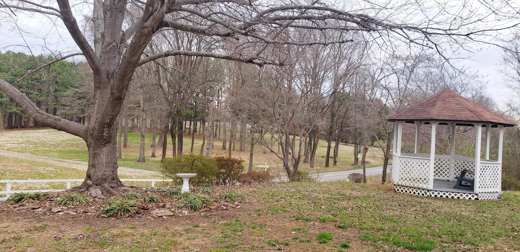 17205 Genito Rd, Amelia Court House, VA 23002 Health Care for Sale