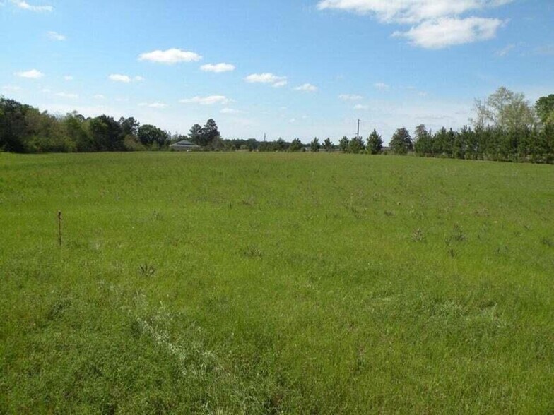 TBD Louisiana 121, Hineston, LA for sale - Building Photo - Image 2 of 2