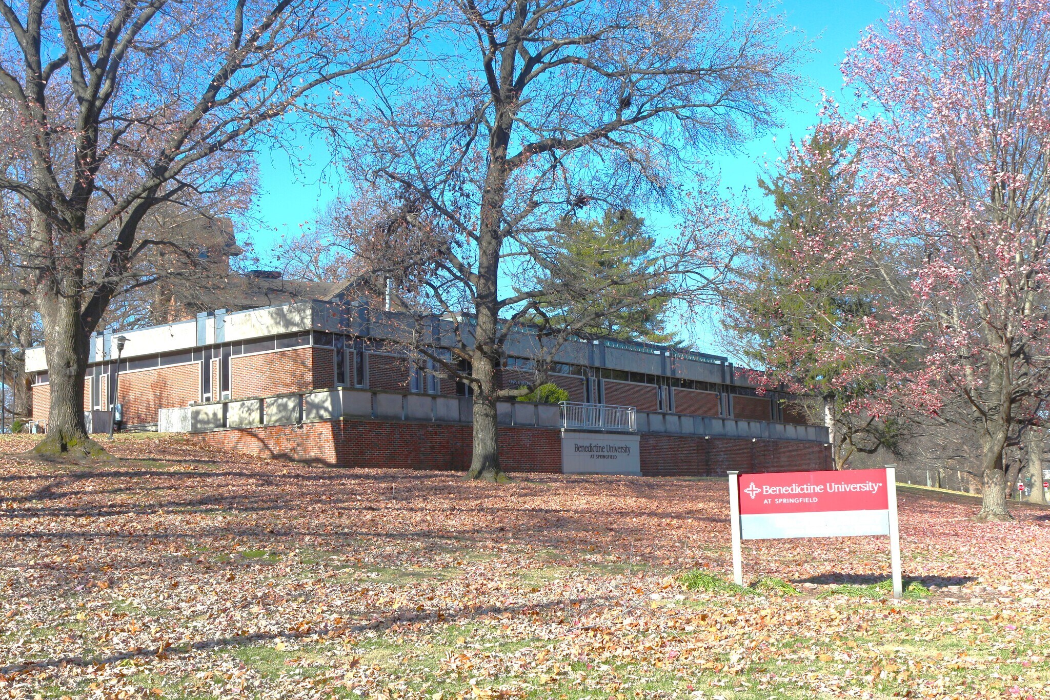1521 N 6th St, Springfield, IL for sale Primary Photo- Image 1 of 1