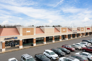 More details for 207-225 Glen Cove Rd, Carle Place, NY - Retail for Lease