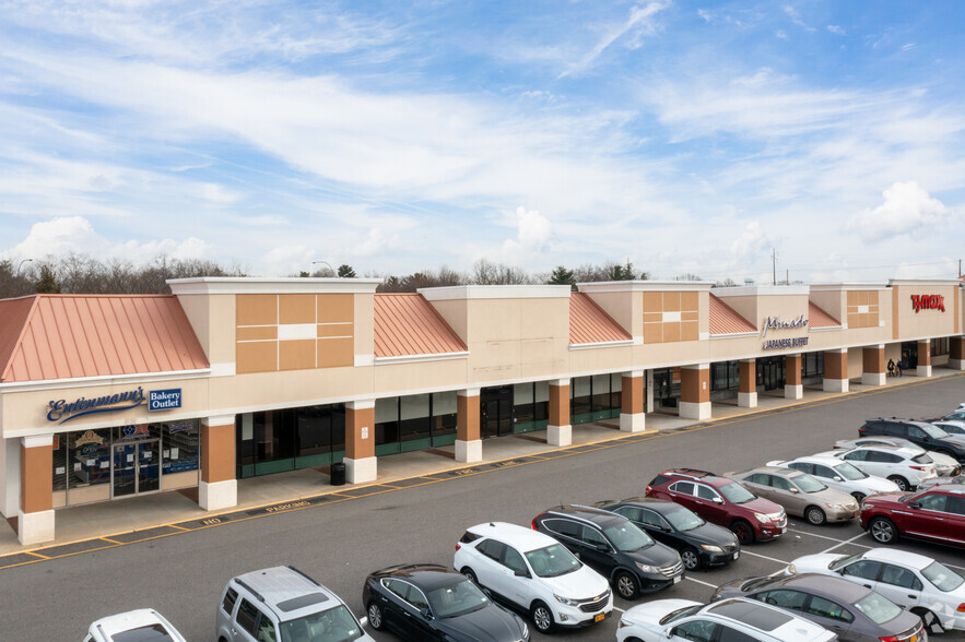 207-225 Glen Cove Rd, Carle Place, NY for lease - Building Photo - Image 1 of 4