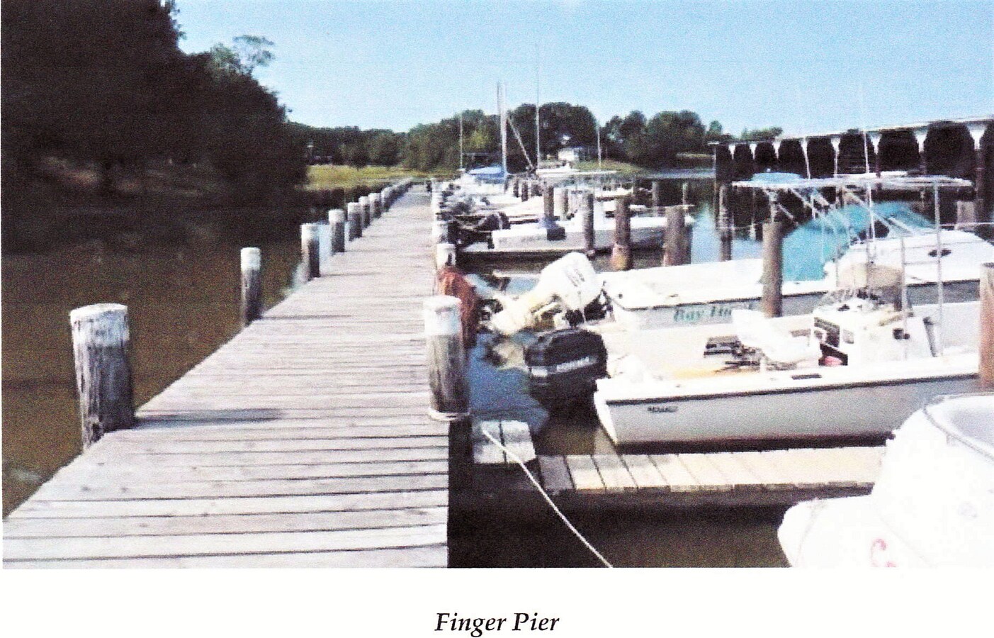 View Photo