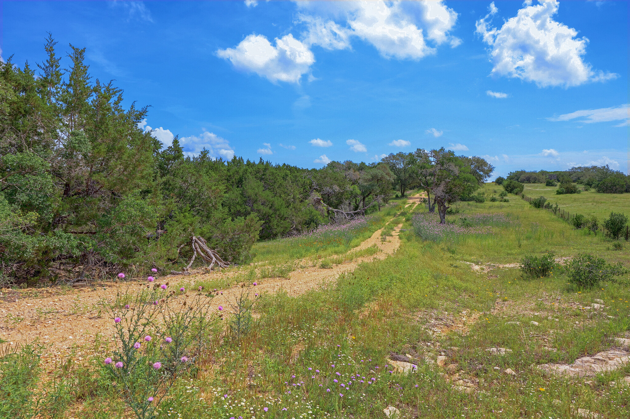 19131 Killeen Wolfridge TX 76549 rd, Killeen, TX for sale Building Photo- Image 1 of 25