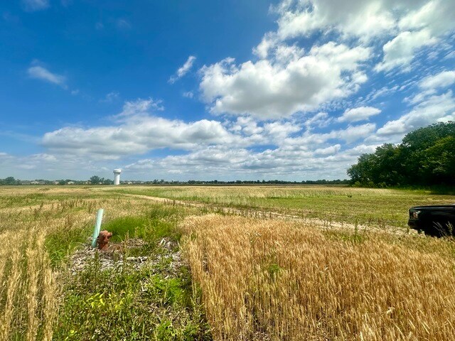 View Photo